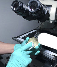 GREEN EXAM GRADE NITRILE GLOVES 9.5" - 1 Box/1000 Count